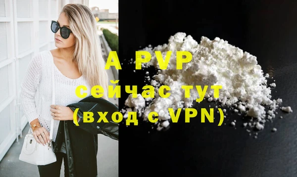 сатива Аркадак